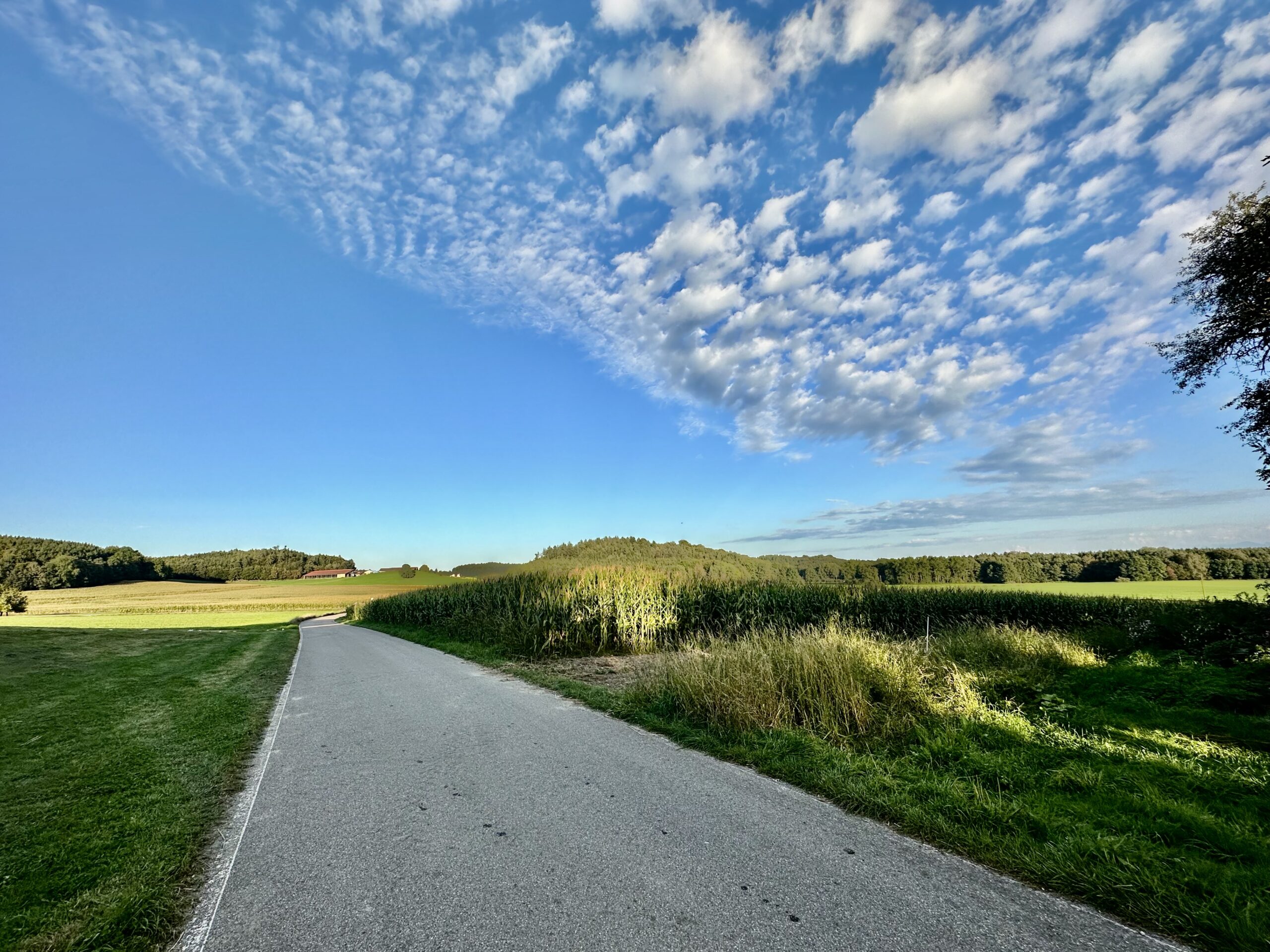 Warum der alte Mann mehr will